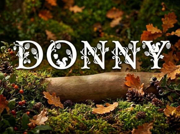 Donny: A Display Font for Bold, Artistic Headlines
